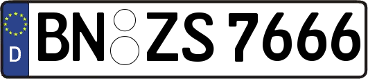 BN-ZS7666