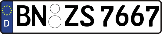 BN-ZS7667