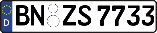 BN-ZS7733