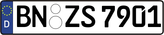 BN-ZS7901