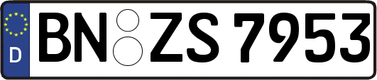 BN-ZS7953
