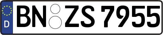 BN-ZS7955
