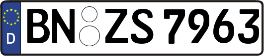 BN-ZS7963