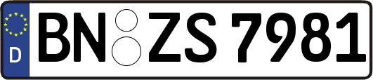 BN-ZS7981