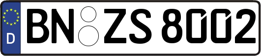 BN-ZS8002