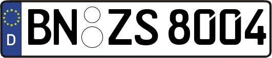 BN-ZS8004