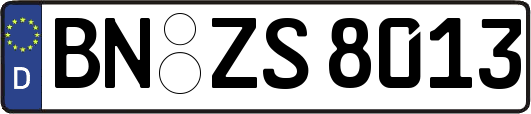 BN-ZS8013