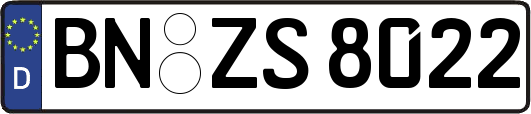 BN-ZS8022