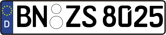 BN-ZS8025