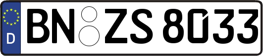 BN-ZS8033