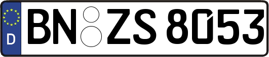 BN-ZS8053