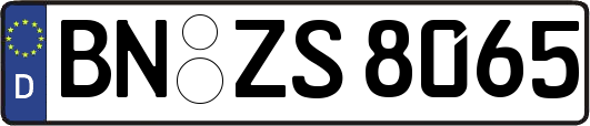 BN-ZS8065