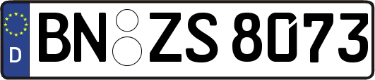 BN-ZS8073