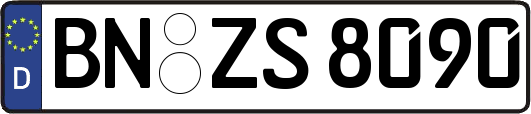 BN-ZS8090