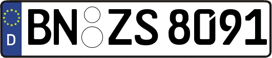 BN-ZS8091