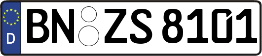 BN-ZS8101