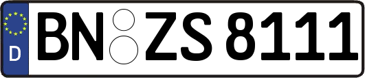 BN-ZS8111