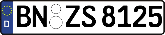 BN-ZS8125