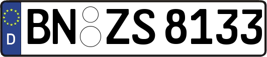 BN-ZS8133