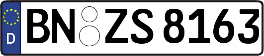 BN-ZS8163