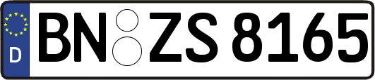BN-ZS8165