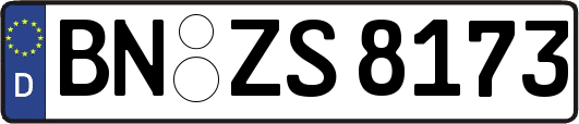 BN-ZS8173