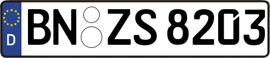 BN-ZS8203