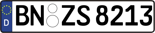 BN-ZS8213