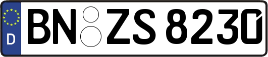 BN-ZS8230