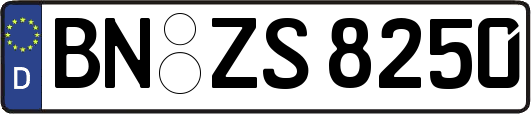 BN-ZS8250