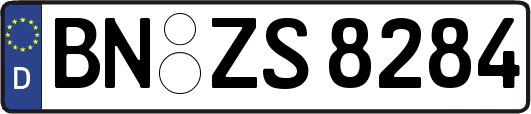 BN-ZS8284