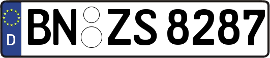 BN-ZS8287