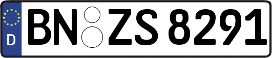 BN-ZS8291
