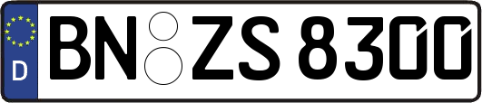 BN-ZS8300