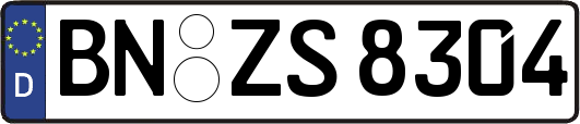 BN-ZS8304
