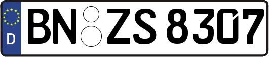 BN-ZS8307