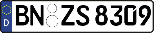 BN-ZS8309