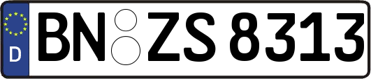 BN-ZS8313
