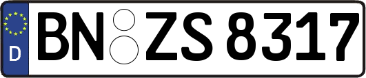 BN-ZS8317