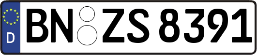 BN-ZS8391