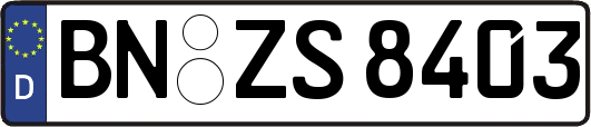 BN-ZS8403