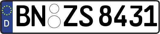 BN-ZS8431