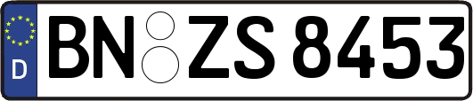 BN-ZS8453