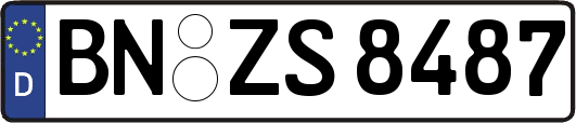 BN-ZS8487