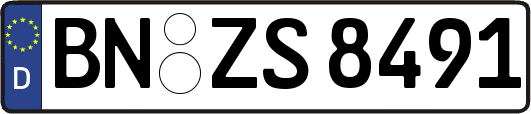 BN-ZS8491