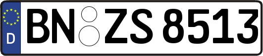BN-ZS8513