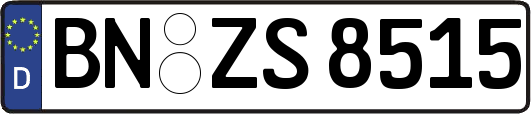 BN-ZS8515