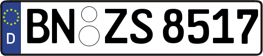 BN-ZS8517