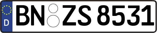 BN-ZS8531