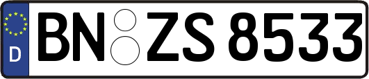 BN-ZS8533